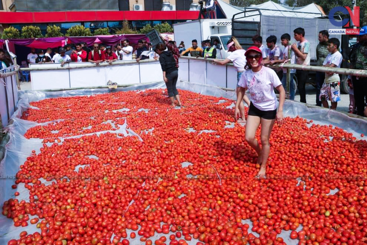 la tomatina11678105170.jpg